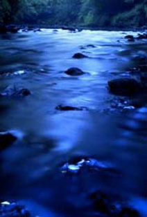 subrightpic.jpg